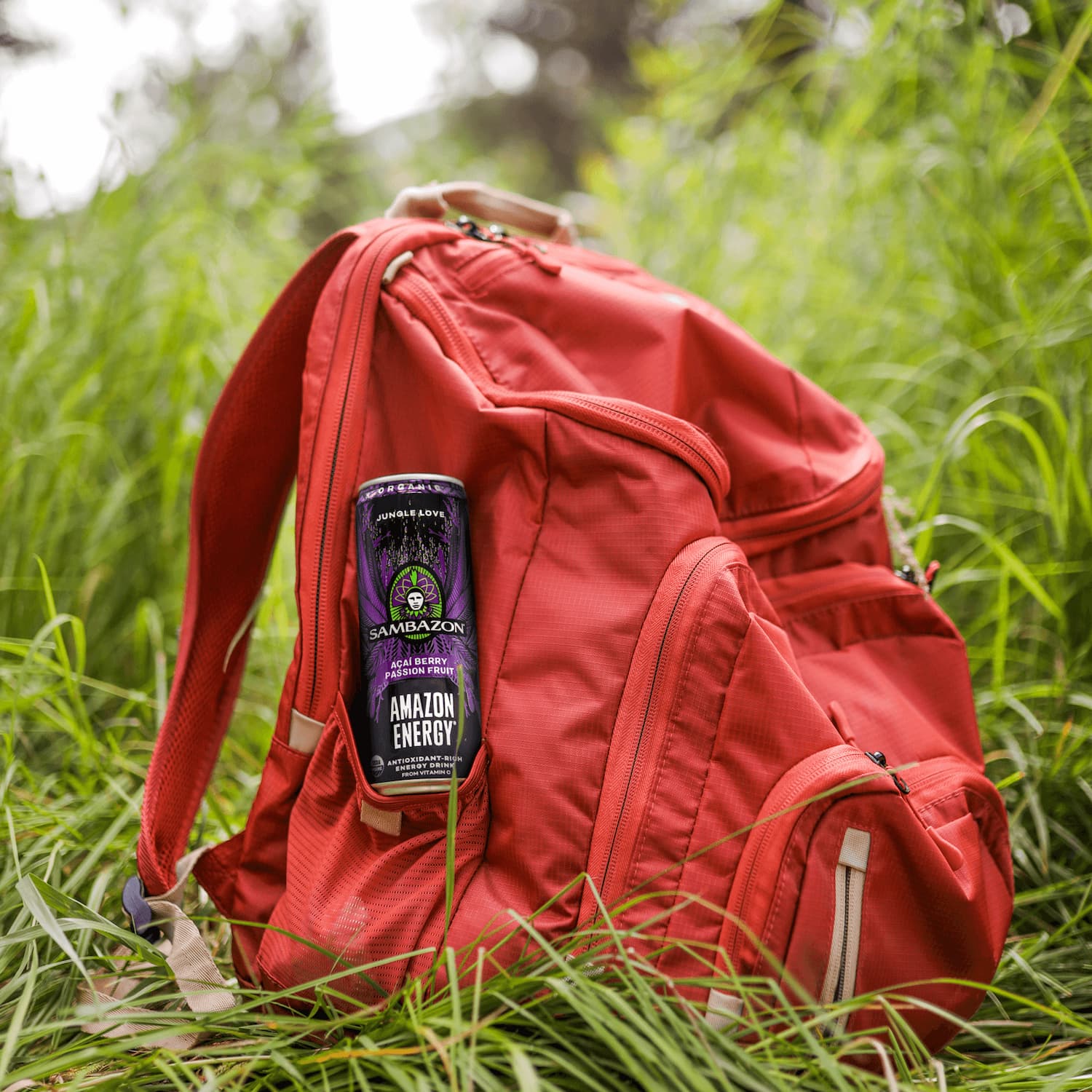 Jungle Love Açaí Passion Fruit Amazon Energy Drink - Image 3